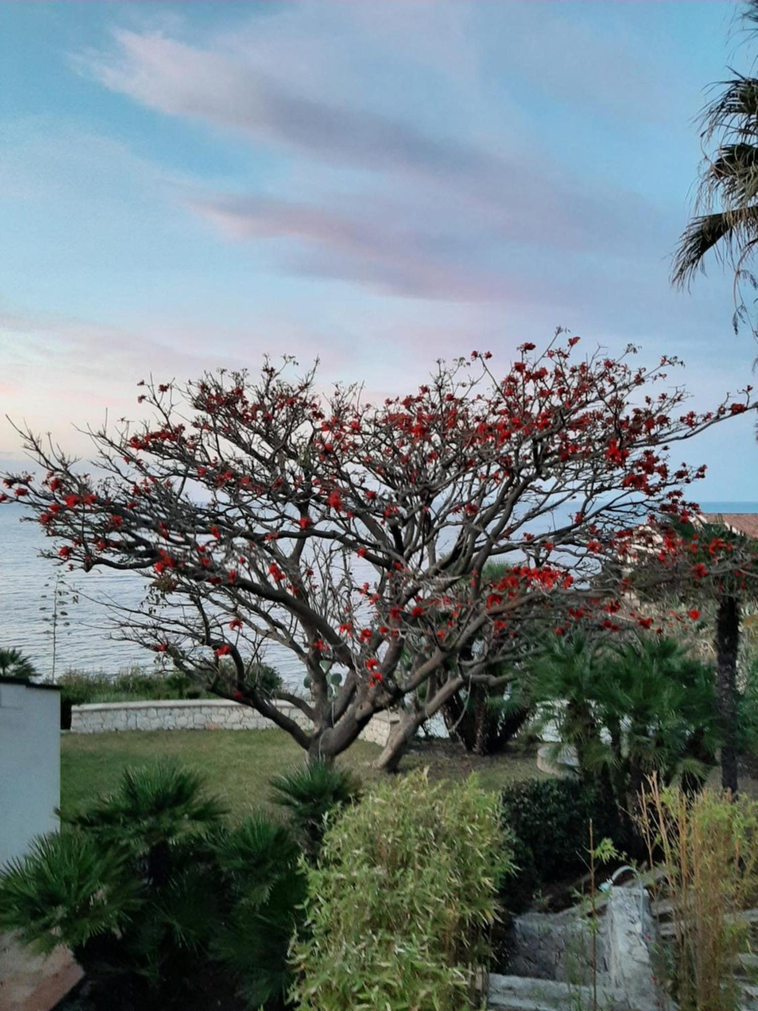 Appartamento In Villa Al Mare - Baia Di Arcile Brucoli Luaran gambar